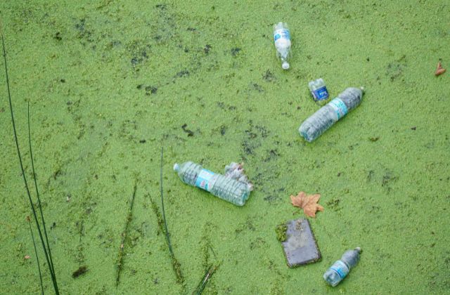 plastics in nature